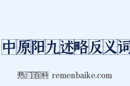 中原阳九述略反义词是什么意思的图片